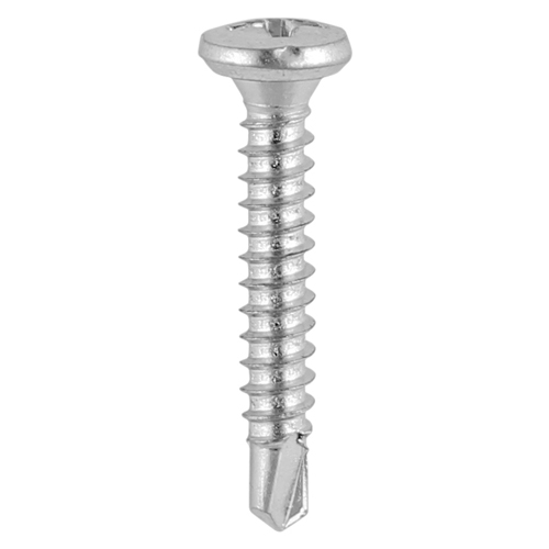 3.9 x 19 S/S Window Screw (100)