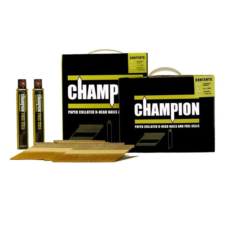Champion Galv Smooth Nail Pack 3.1 x 90mm