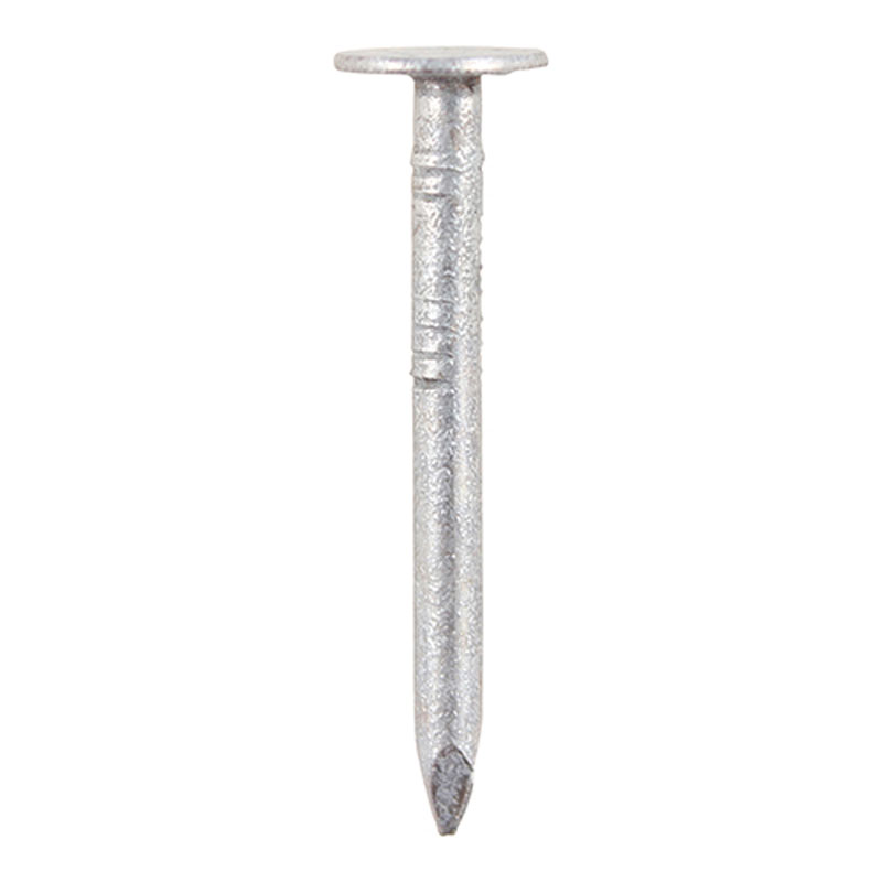 Galv Clout Nails  40x2.65mm 1Kg