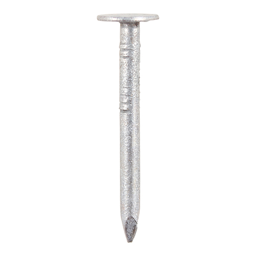 Galv Clout Nails  50x2.65mm 1Kg
